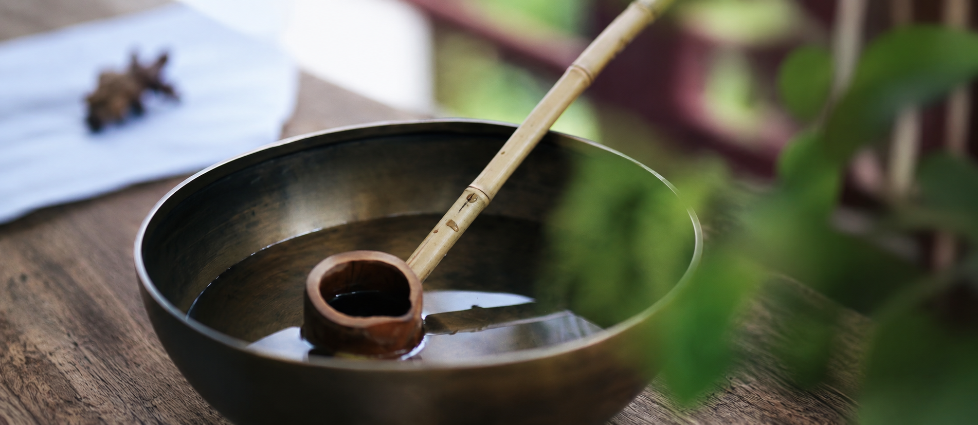 Meditation & Healing